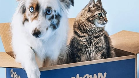 A photo of a dog and a cat sitting in a carboard box